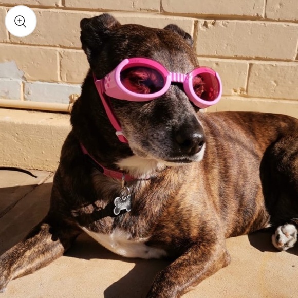 NEW IN PACKAGE Doggles ILS dog goggles size large - Picture 4 of 4